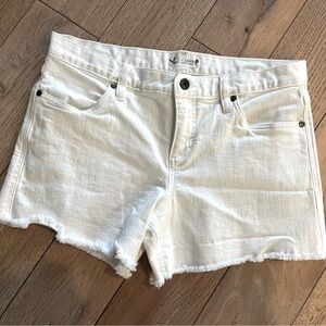 Carve Designs Denim Shorts